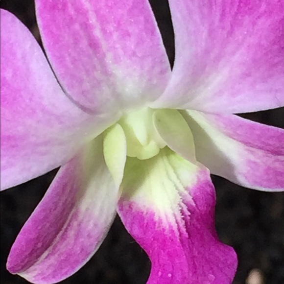 Welcome! Please check out my closet. Thank you๐ - Picture 3 of 10